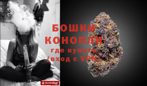 PSILOCYBIN Баксан